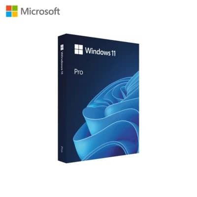 Phần mềm Windows 11 Pro 64-bit Eng Intl USB FPP - Key vật lý